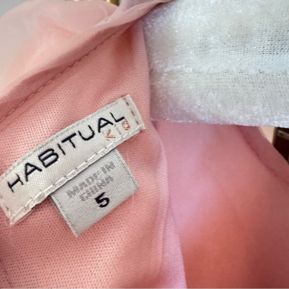 NWOT Organza Tiered Ruffle Pink Dress Size 5 Dress Up Girly Tutu Ruffle Princess - Picture 3 of 6